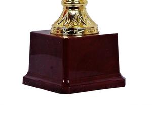 Trofeo Metálico Indio de Calidad de Exportación para Funciones Empresariales y Distribución de Premios Corporativos, Trofeo de Agradecimiento a Precio de Mayoreo - Product Image 3