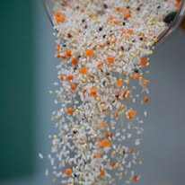 Arroz Blanco Orgánico SEPON Vietgap ST25, 100% Grano Quebrado, Textura Dura, 3 Meses de Vida Útil, 3% de Humedad, 3% de Impurezas, Quang Tri - Product Image 5