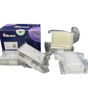 BeaverBeads ชุดกรดนิวคลีอิก DNA ชุดสกัด RNA ตัวอย่างน้ำลาย - Product Image 1