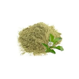 Poudre de Bhringraj de qualité supérieure, extrait botanique pur d'Eclipta Alba, en vrac, pour produits capillaires - Product Image 1