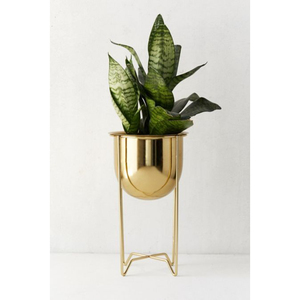 Ensemble de 2 supports modernes en métal doré pour plantes, finition antique, pour pots de fleurs sur pied, décoration intérieure et accents décoratifs, rehaussant les coins - Product Image 5
