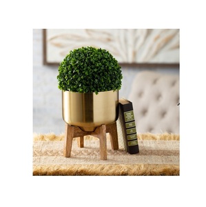 Support de plante en métal offrant un support élégant pour les fleurs, les herbes, les plantes succulentes, pour le jardinage intérieur et extérieur et la présentation décorative - Product Image 4