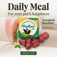 Nourriture humide pour chats Maidou, riche en protéines, au poulet et aux légumes, pour chats de plus de 3 mois, OEM ODM, vente en gros