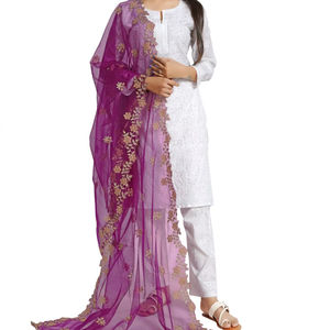 Hermosa tela de red de diseño indio-pakistaní, dupatta de diseñador con bordado elegante, ropa tradicional informal para bodas para mujeres. - Product Image 1