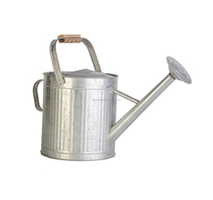 Arrosoir automatique en métal, nouveau CAN d'arrosage pour la décoration de jardin, prix en gros, - Product Image 5