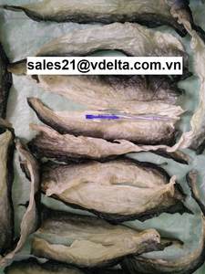 PRICE_DRIED ที่ดีที่สุดสำหรับผิวปลา/ปลาดุก/บาซา/ปลาสวาย/ขนมกรอบ (ms.lima) - Product Image 2