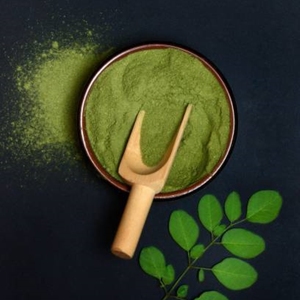 Bulk Moringa Powder Fresh Green Leaf Nutrient Rich Ground Powder For Culinary Use and Functional Beverage Production - Product Image 2