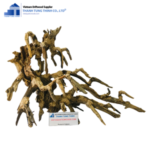 Decoración de Acuario de Madera Flotante Natural Personalizada Thanh Tung Thinh, Forma Irregular, Duradera y Ecológica, Adorno para Pecera de Peces y Mariscos - Product Image 4