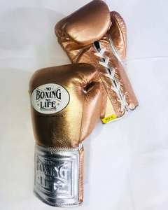 Nouveaux gants de boxe professionnels Silver & Brown No Boxing No Life, modèle dernier cri, pour entraînement en salle de sport. - Product Image 2