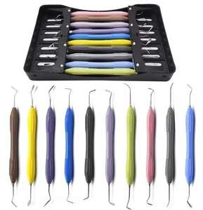 Juego de 10 Instrumentos Dentales de Alta Calidad para Obturaciones de Composite |   Herramientas de Restauración con Mango de Silicona de Doble Extremo de DMD - Product Image 1