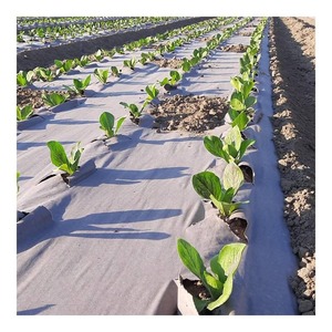 Grande bâche de paillage agricole noire pour le contrôle des adventices et la rétention de l'humidité du sol à prix de gros - Product Image 5