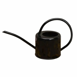 Arrosoir en plastique vert pour le jardinage, finition peinte durable, arrosoir en métal galvanisé de luxe, arrosoir pour balcon - Product Image 3
