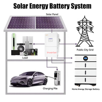 Solis Solar Energy Storage System 16kW Inverter 16kWh LifePO4 Battery for 220/230V Solar Complete Solution