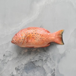 Prix d'usine, vente chaude : Nouveau poisson de bar rouge congelé, compétitif, frais/congélate, pour restaurants et marchés de fruits de mer - Product Image 6