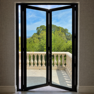 Porte pliante en cristal, design résistant au feu, porte pliante en aluminium et verre, portes accordéon pliantes pour l'intérieur - Product Image 1