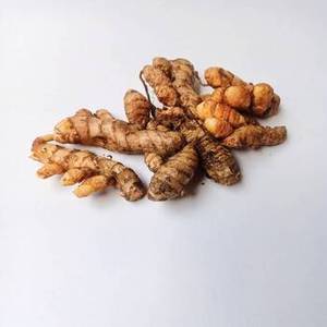 Doigts de curcuma entiers indiens pour l'emballage d'épices en marque blanche, la distribution en gros, les achats en vrac et le commerce international - Product Image 3