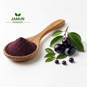 Compre Ahora Polvo de Jamun Natural para Alimentos, Bebidas y Aplicaciones Nutricionales al Precio Más Bajo - Product Image 1