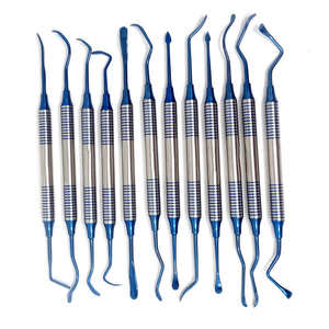 Herramientas de limpieza dental de acero inoxidable, juego de 10 piezas, kit de limpieza dental, raspadores, 10 piezas para cuidado bucal. - Product Image 4