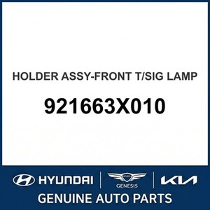 Luz Intermitente Nueva para Elantra 921663X010 - Product Image 1