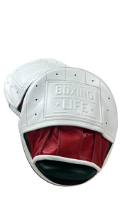 Lightweight Boxing Focus Mitts for Speed Training Punch Accuracy Coaching MMA Fitness Workout Equipment - Product Image 2