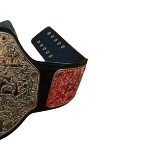 Cinturón de Campeonato Mundial de Peso Pesado de la WWE, Personalizable, de Alta Calidad, Dorado y Negro, Cinturón Deportivo Personalizado, Cinturón de Título de Undertaker - Product Image 4