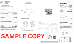 เพชรสังเคราะห์ทรงหรู น้ำหนัก 0.70 กะรัต สี E ความสะอาดระดับ IF คุณภาพ HPHT IGI สำหรับทำเครื่องประดับแบบสั่งทำ B2B - Product Image 5