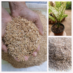 Coques de riz biologiques pour ameublissement du sol de potager, ingrédient naturel pour l'alimentation animale (bovins, porcs, chevaux) - Madhya Pradesh - Product Image 6