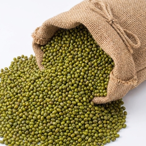 Frijoles Mung Altos en Proteína 24g/100g, Legumbres Ricas en Nutrientes, Alimento Saludable Vegano, Proteína Vegetal, Suministro a Granel, Grado de Exportación - Product Image 1