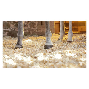 Virutas de Madera Premium para Cama de Animales con Excelente Amortiguación y Propiedades de Retención de Humedad - Product Image 4