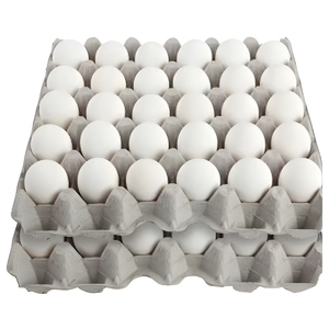 Huevos de Gallina, Huevos Frescos Blancos y Morenos, de Alta Calidad, Grado Alimenticio, Venta al por Mayor, Exportación, Fabricante, Alto Contenido de Proteínas - Product Image 1