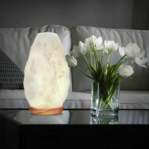 Lámparas de Sal Blanca del Himalaya con Logotipo Personalizado, Lámparas de Cristal de Roca Natural de Primera Calidad con Tamaño OEM, Fábrica de Marca Privada - Product Image 5