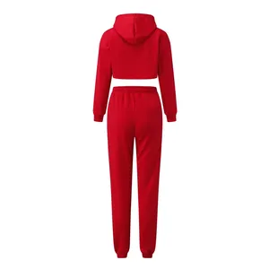 Ensemble de survêtement pour femme, 2 pièces, streetwear personnalisé, hiver, polaire épaisse, capuche, broderie sur le devant - Product Image 2