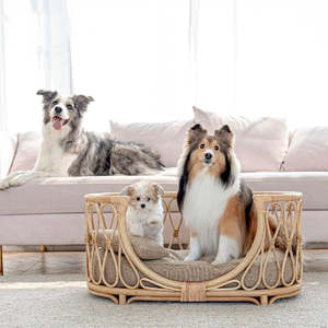Cama de Mimbre Ovalada Personalizada para Perros, Sofá Tejido para Mascotas con Cojín Suave, Cama de Mimbre Natural para Gatos, Muebles para Mascotas - Product Image 2