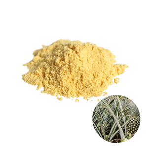 Hecho en Vietnam, el Más Vendido, Polvo de Piel de Piña Seca de Primera Calidad, Empacado en Bolsas de Varios Tamaños - Product Image 1