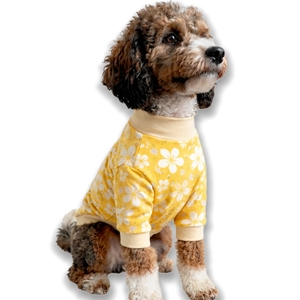 เสื้อยืดสุนัขพิมพ์ลายตามสั่ง OEM ODM เสื้อผ้าสัตว์เลี้ยงลายดอกไม้ผ้าฝ้ายโพลีเอสเตอร์พิมพ์ลายดิจิตอลสำหรับสุนัขและแมว - Product Image 6