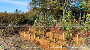 Natural Coconut Fiber COIR <b>LOG</b> For Erosion Control And Riverbank Protection In Landscaping And Environmental Projects - Product Image 4