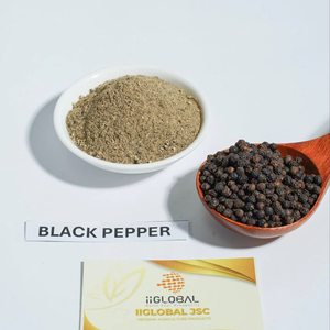 Pimienta Negra en Polvo de Primera Calidad, Seca, 100% Pura y Natural, Molido para Venta al por Mayor, Grado Alimenticio, 25 kg - Product Image 1