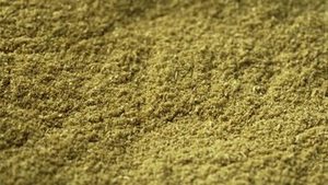 Coriandre en poudre 100% pure d'Inde, récolte fraîche de qualité supérieure, FitTree International, épice aromatique brute du Gujarat, durée de conservation de 24 mois - Product Image 2