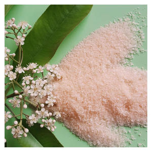 Proveedor a granel de fertilizante NPK 21 21 21 sin OMG para granjas de hortalizas, huertos y empresas de producción de cultivos - Product Image 6