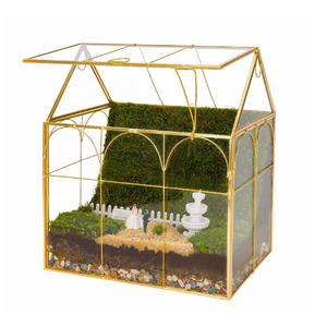 Terrario de plantas de vidrio geométrico de Venta caliente con tapa Terrario de vidrio suculento Terrario de casa verde para la decoración del jardín del hogar - Product Image 1