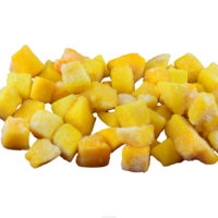 Internationale Standaard Speciale Aanbieding Bestverkopende Vietnamese Fabrikant Levert Diepvries Mango's in Bulk
