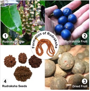 ลูกประคำรูดราคชาคุณภาพสูง 108 เม็ด สำหรับสวดมนต์ ทำสมาธิ โยคะ และการร้องมนต์ สำหรับขายส่งออก - Product Image 5