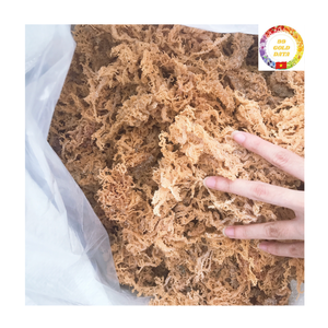 <b>Sea</b> <b>Moss</b> Organic | Dried Golden Seaweed | Wildcrafted <b>Raw</b> | Wholesale Bulk Supplier Vietnam - Product Image 1