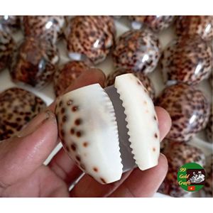 Coastal Style Shell Napkin <b>Rings</b> for Wedding Reception Banquet Event Decoration and Elegant Table Arrangement Supplies - Product Image 5