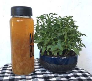 Nori aromatisé séché et purifié en vrac pour l'exportation – Ingrédient pour boissons, gels et cosmétiques – Blue Lotus - Product Image 4