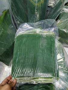 ใบตองสดจากเวียดนาม วัสดุจากใบธรรมชาติสำหรับห่ออาหาร ขนมเค้กข้าว ปลาปิ้ง ของหวาน บริการจัดเลี้ยง และขายปลีก - Product Image 5