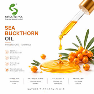 Huile d'argousier de qualité supérieure pour les acheteurs en gros, conçue pour l'utilisation dans les produits de beauté, les soins personnels et le développement de produits professionnels - Product Image 6
