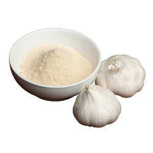 Fournisseur d'origine indienne vendant de la poudre d'ail séché 100% pure, naturelle, authentique et de haute qualité, personnalisable pour la cuisine - Product Image 1