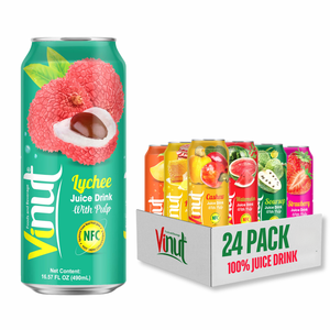 490ml pour jus de fruits sans sucre VINUT avec saveur de variété de pulpe, échantillon gratuit de marque privée OEM/ODM du Vietnam - Product Image 1