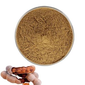 Poudre d'extrait de tamarin 100 % pure de qualité supérieure, séchée naturellement, qualité alimentaire, pour compléments alimentaires et boissons - Product Image 1